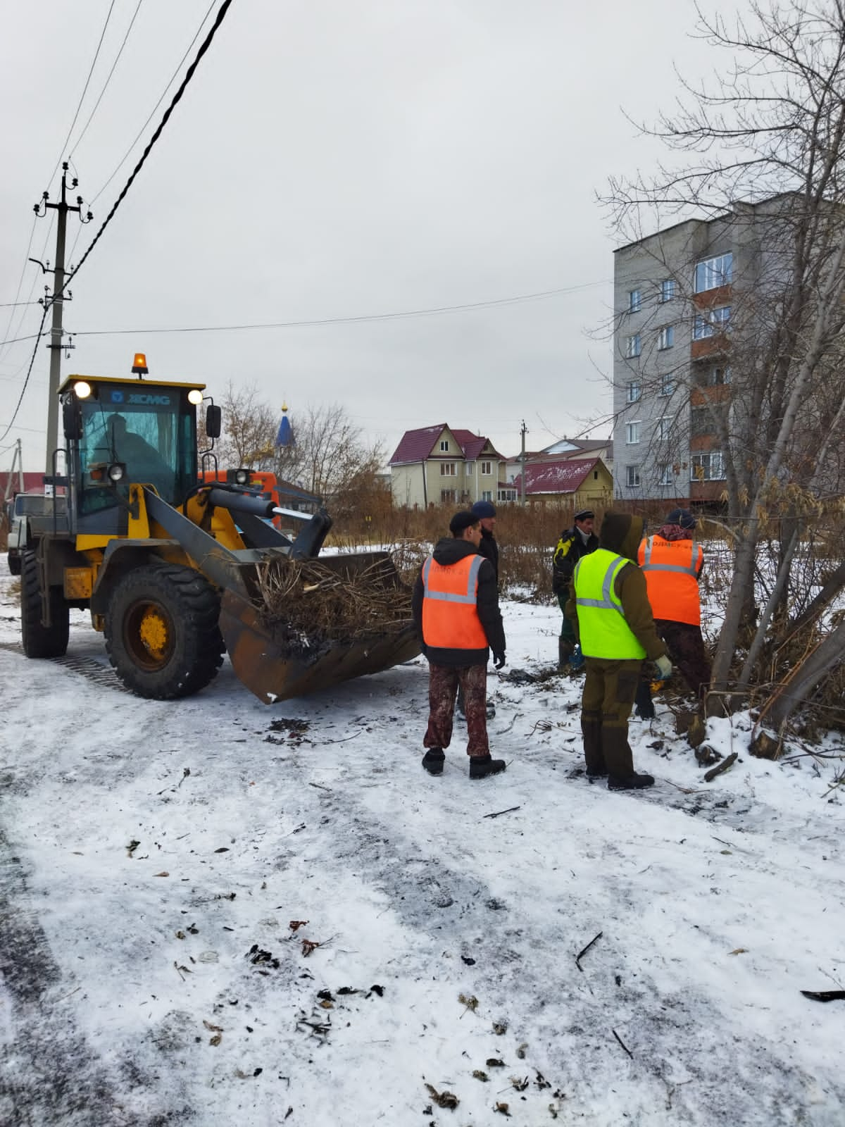 Чистка снега. Погода в Барабинске. Обстукивание веток от снега фото. Погода в Барабинске на 10.